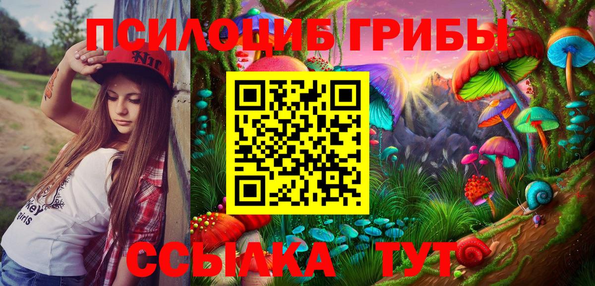 Псилоцибиновые грибы Psilocybine cubensis Нижнеудинск